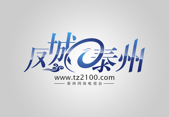 鳳城泰州網(wǎng)站logo設(shè)計(jì)