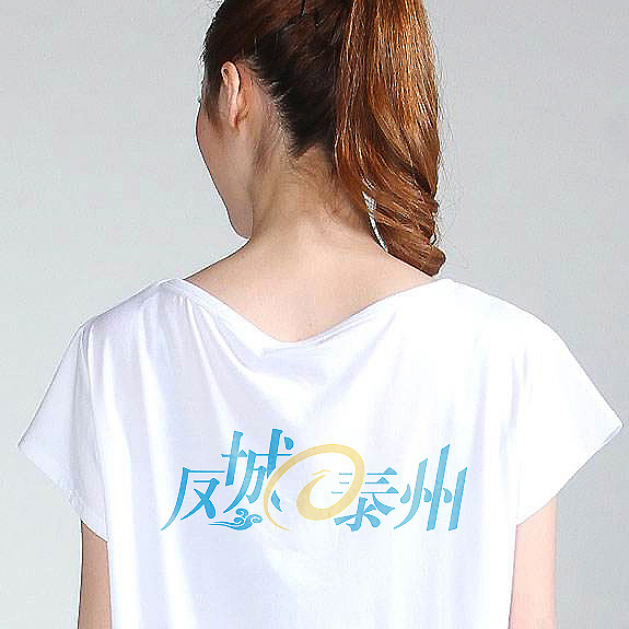 鳳城泰州網(wǎng)站高端VI設(shè)計(jì)