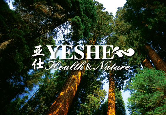 建材家居行業(yè)標志設(shè)計 亞仕木門標志設(shè)計
